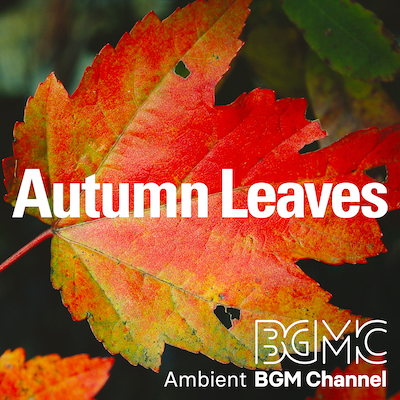 BGMC_TN_AMB_01_AutumnLeaves_A.jpg