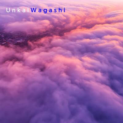 Wagashi By Unkai_400.jpg
